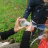 Rübensüß - Band 3 & 4 für Kitas & Grundschulen – Bild 2